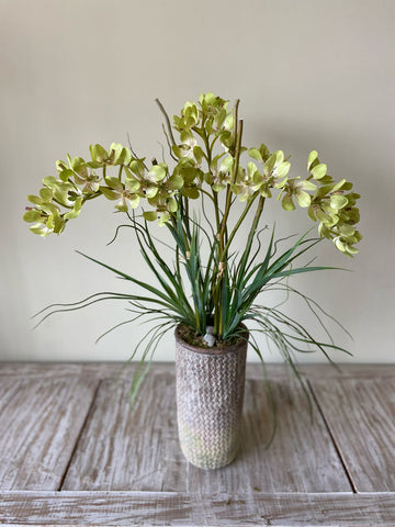 Orquideario con Vanda Orchid y Follajes Artificiales en Base Cantera