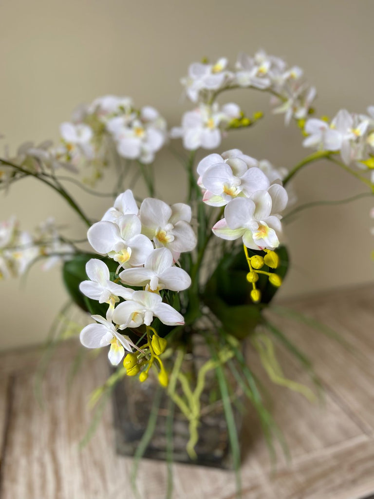 Orquideario con Mini Phalaenopsis y Follajes Artificiales en Base Rectangular de Vidrio