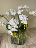 Orquideario con Mini Phalaenopsis y Follajes Artificiales en Base Rectangular de Vidrio