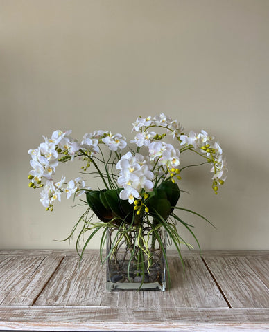 Orquideario con Mini Phalaenopsis y Follajes Artificiales en Base Rectangular de Vidrio
