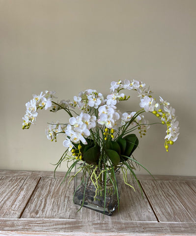 Orquideario con Mini Phalaenopsis y Follajes Artificiales en Base Rectangular de Vidrio