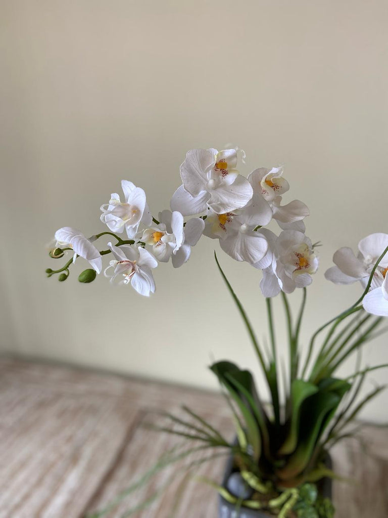 Orquideario con Dos Mini Phalaenopsis Blanca Artificial en Base Tipo Cantera