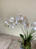 Orquideario con Dos Mini Phalaenopsis Blanca Artificial en Base Tipo Cantera