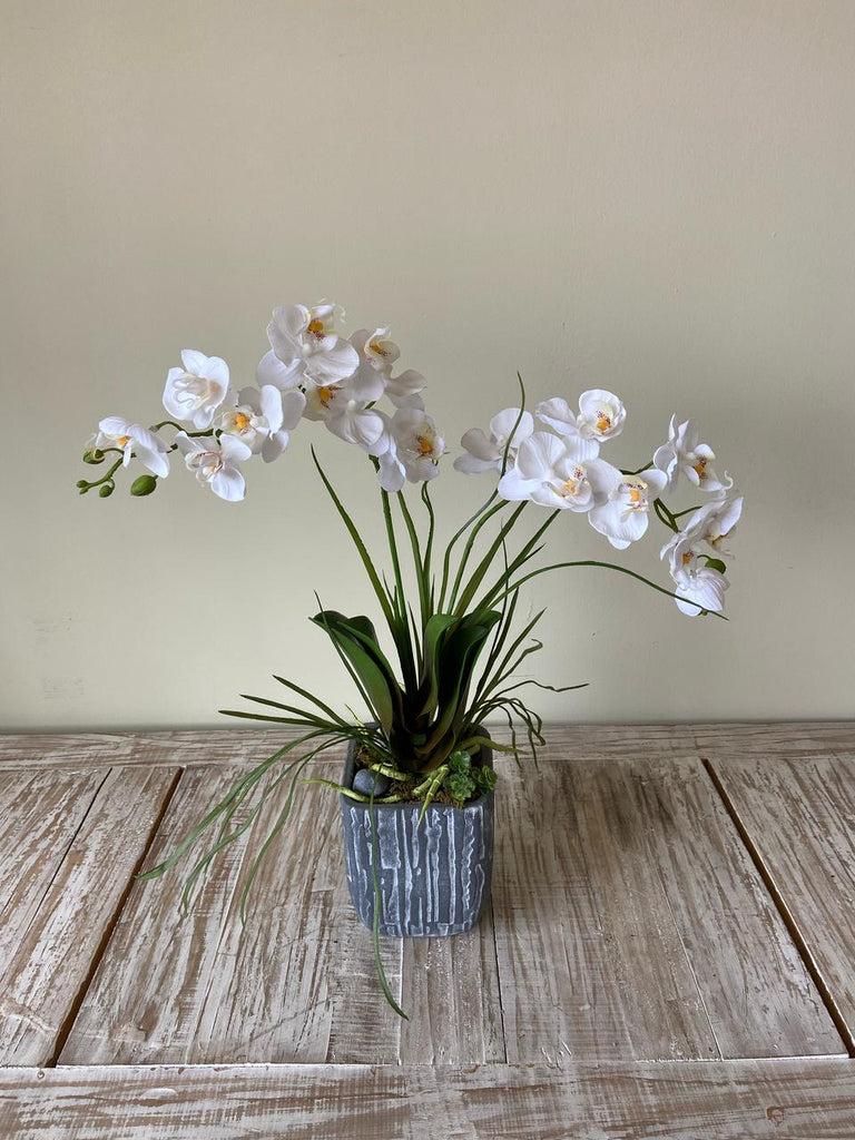 Orquideario con Dos Mini Phalaenopsis Blanca Artificial en Base Tipo Cantera