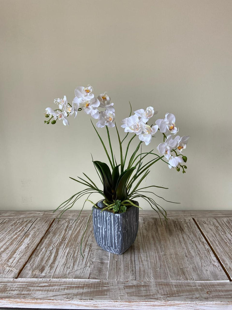 Orquideario con Dos Mini Phalaenopsis Blanca Artificial en Base Tipo Cantera
