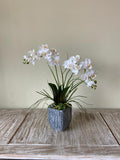 Orquideario con Dos Mini Phalaenopsis Blanca Artificial en Base Tipo Cantera