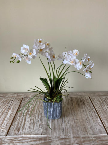 Orquideario con Dos Mini Phalaenopsis Blanca Artificial en Base Tipo Cantera