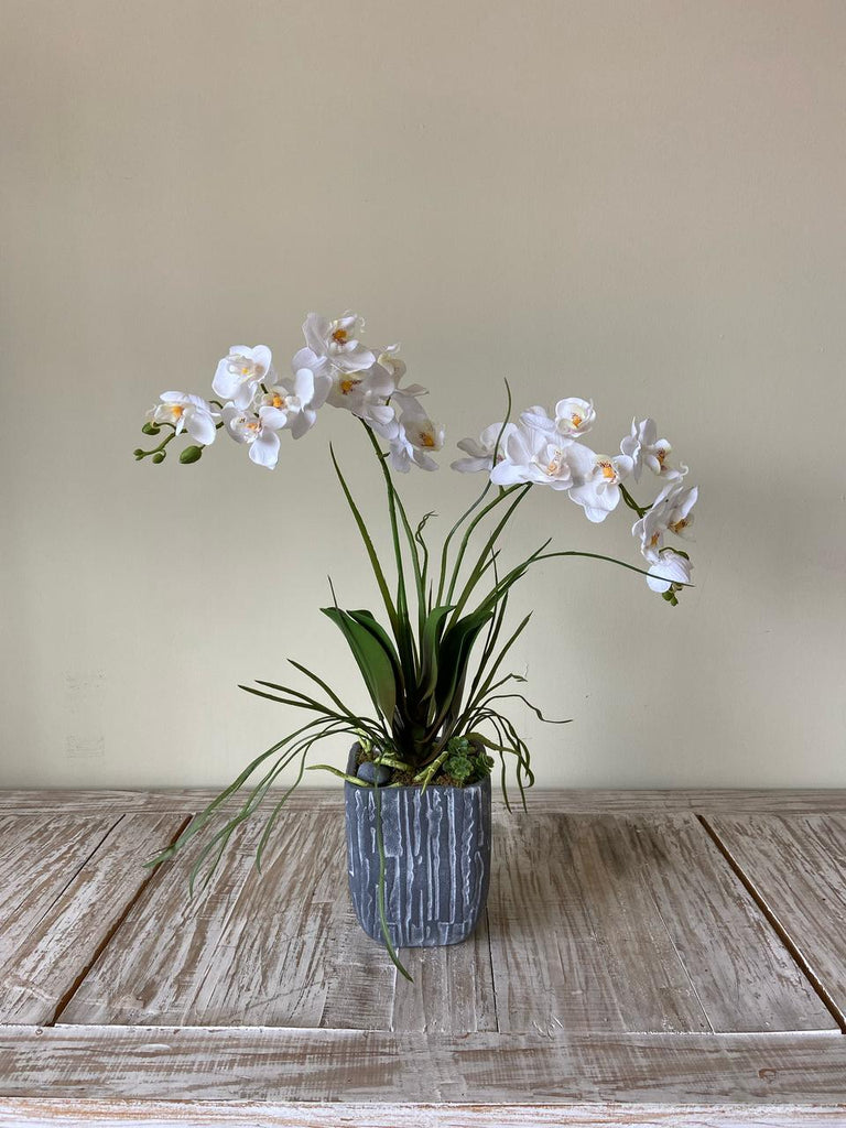 Orquideario con Dos Mini Phalaenopsis Blanca Artificial en Base Tipo Cantera