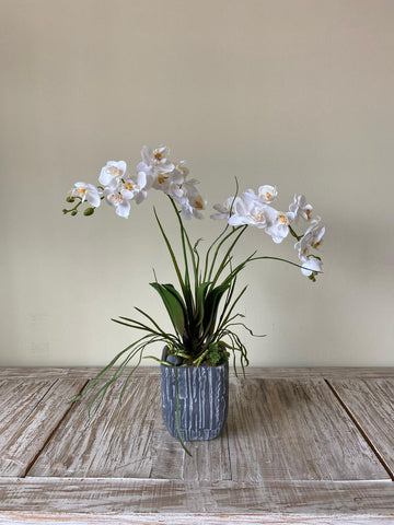 Orquideario con Dos Mini Phalaenopsis Blanca Artificial en Base Tipo Cantera