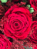 Arreglo Floral con Rosas Rojas Claro Preservadas en Copa de Latón Niquelada Mediana