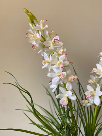 Orquideario con Cymbidium con Follajes Artificiales en Florero de Vidrio