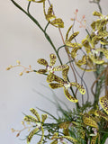 Orquideario 3/4 con Dendrobium Artificial en Base de Cerámica