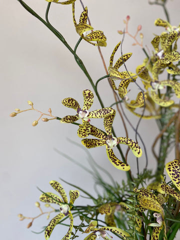 Orquideario 3/4 con Dendrobium Artificial en Base de Cerámica