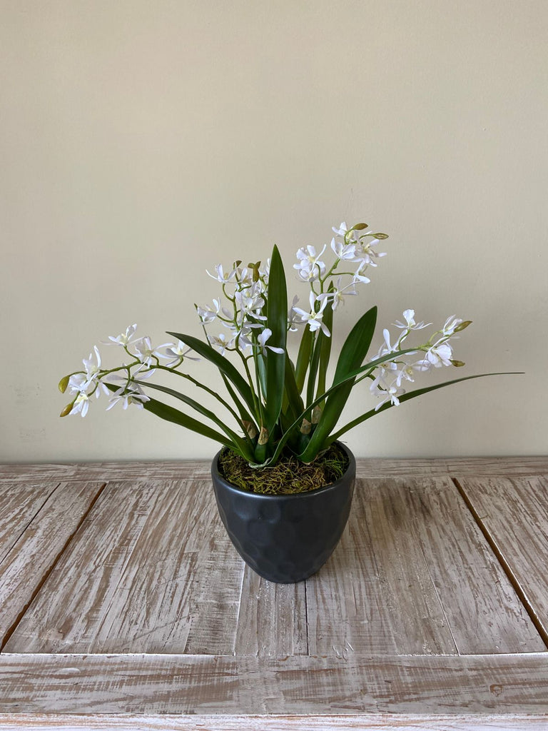 Orquideario con Mini Catleya Artificial en Base de Cerámica