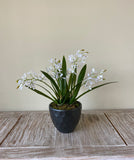 Orquideario con Mini Catleya Artificial en Base de Cerámica