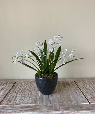 Orquideario con Mini Catleya Artificial en Base de Cerámica