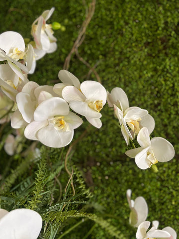 Orquideario con Phalaenopsis Blancas y Follajes Artificiales en Florero de Vidrio con Agua Acrílica