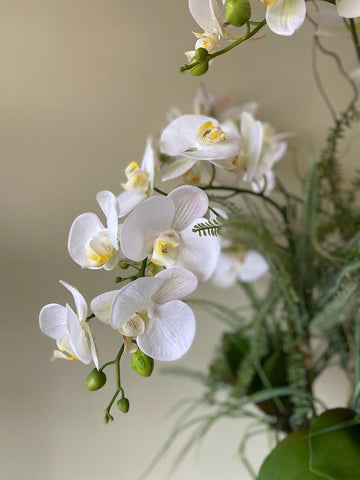 Orquideario con Phalaenopsis Blancas y Follajes Artificiales en Florero de Vidrio con Agua Acrílica