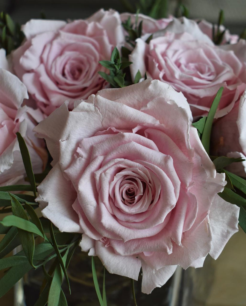Arreglo Floral con Rosas Preservadas Color Rosa en Base Cuadrada de Vidrio con Agua Acrílica