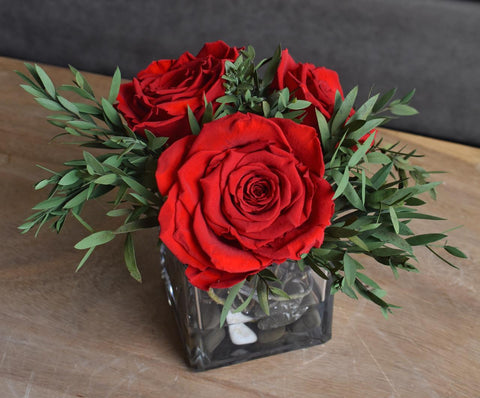 Arreglo Floral con Rosas Preservadas Color Rojo Claro en Base Cuadrada de Vidrio con Agua Acrílica