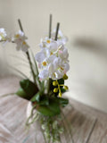 Orquideario con Mini Phalaenopsis y Follajes Artificiales en Base Cantera