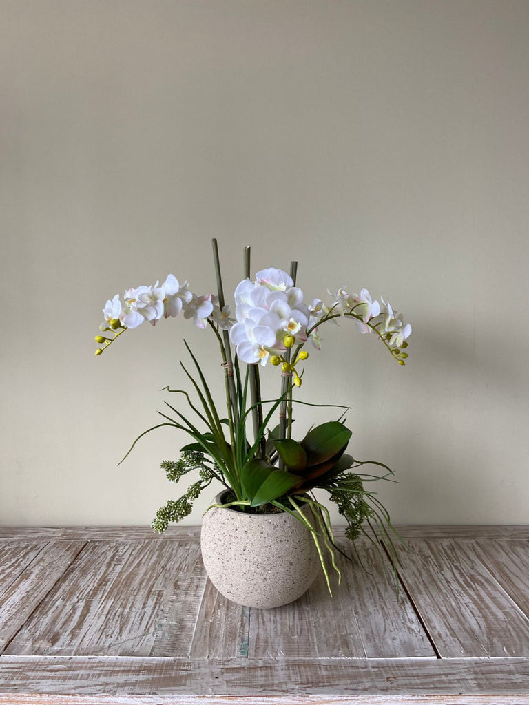 Orquideario con Mini Phalaenopsis y Follajes Artificiales en Base Cantera