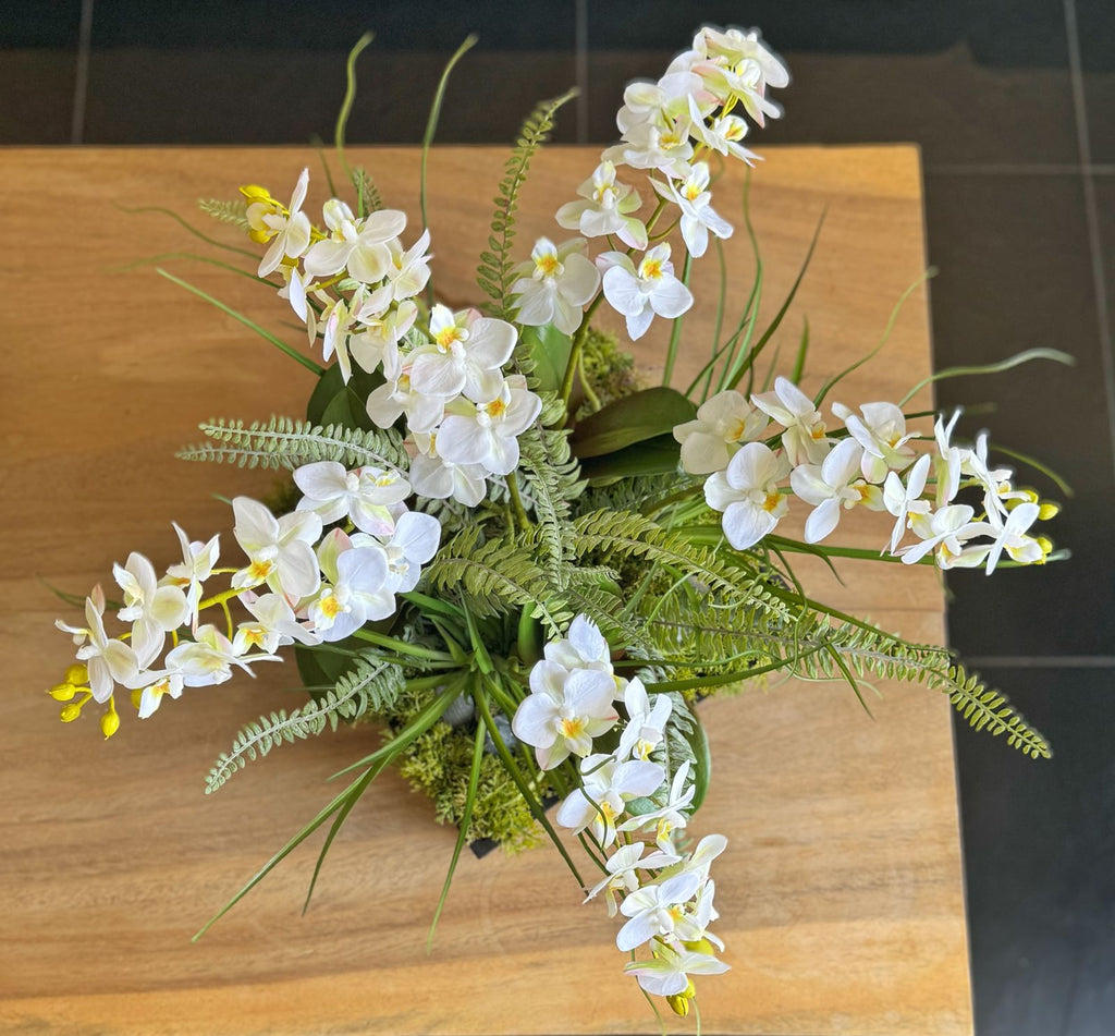 Orquideario con Mini Phalaenopsis y Follajes Artificiales en Base Cuadrada