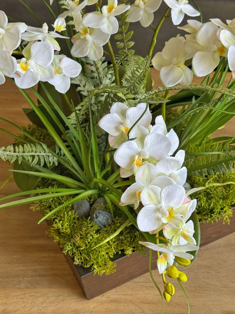 Orquideario con Mini Phalaenopsis y Follajes Artificiales en Base Cuadrada