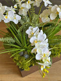 Orquideario con Mini Phalaenopsis y Follajes Artificiales en Base Cuadrada