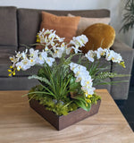 Orquideario con Mini Phalaenopsis y Follajes Artificiales en Base Cuadrada