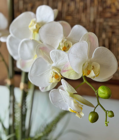 Orquideario con Dos Phalaenopsis y Follajes Artificiales en Base Cantera