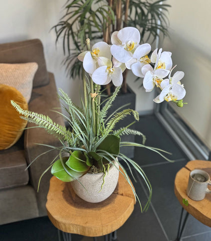 Orquideario con Phalaenopsis y Follajes Artificiales en Base Cantera