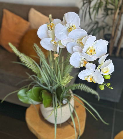 Orquideario con Phalaenopsis y Follajes Artificiales en Base Cantera