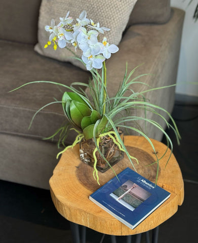 Orquideario con Mini Phalaenopsis y Follajes Artificiales en Base Cuadrada de Vidrio