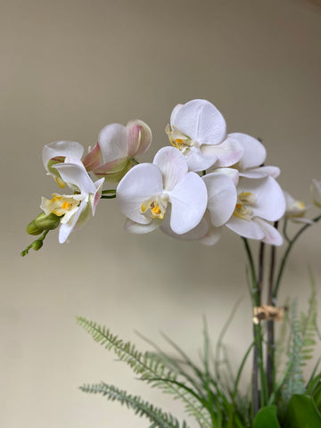 Orquideario con Dos Phalaenopsis y Follajes Artificiales en Base Cantera