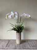 Orquideario con Dos Phalaenopsis y Follajes Artificiales en Base Cantera
