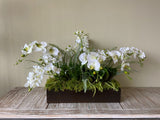 Orquideario con Phalaenopsis y Follajes Artificiales en Base Rectangular