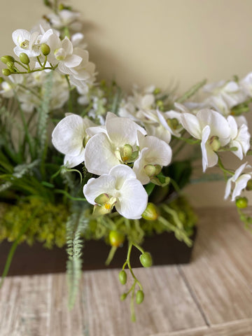 Orquideario con Phalaenopsis y Follajes Artificiales en Base Rectangular