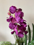 Orquideario con Vanda Orchid y Follajes Artificiales en Florero de Vidrio