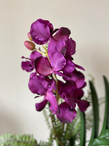 Orquideario con Vanda Orchid y Follajes Artificiales en Florero de Vidrio