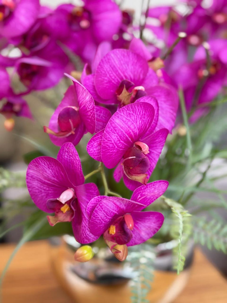 Orquideario con Phalaenopsis Fucsia y Follajes Artificiales en Base Tipo Espejo