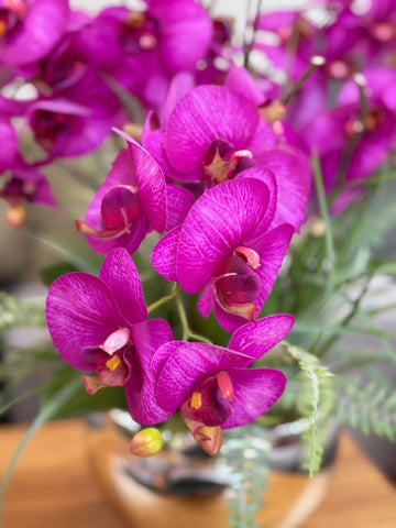 Orquideario con Phalaenopsis Fucsia y Follajes Artificiales en Base Tipo Espejo