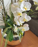 Orquideario con Phalaenopsis Articial en Base de Vidrio Tipo Espejo