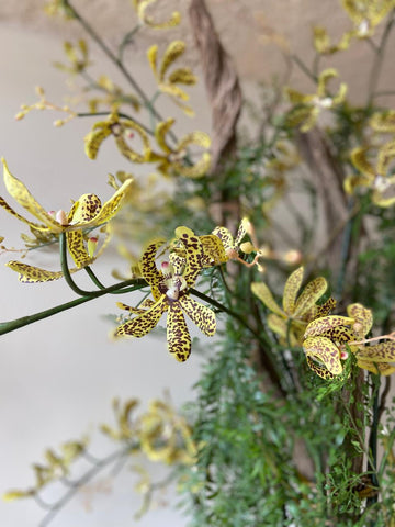 Orquideario con Dendrobium Artificial en Cilindro de Vidrio