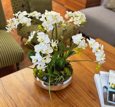 Orquideario con Mini Phalaenopsis Artificial en Base Tipo Espejo