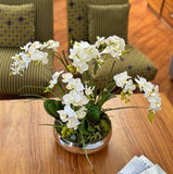 Orquideario con Mini Phalaenopsis Artificial en Base Tipo Espejo