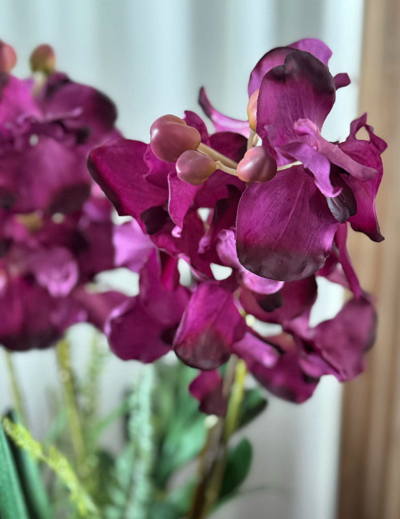 Orquideario 3/4 con Vanda Orchid Artificial en Base de Vidrio