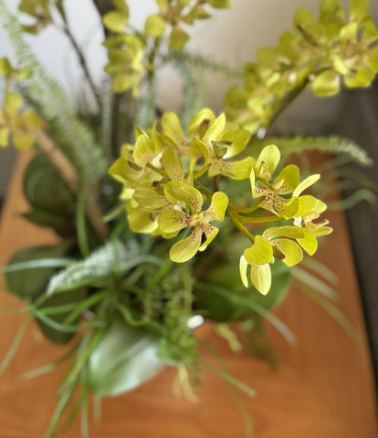 Orquideario con Mini Vanda Orchid Verde Artificial en Base Tipo Espejo