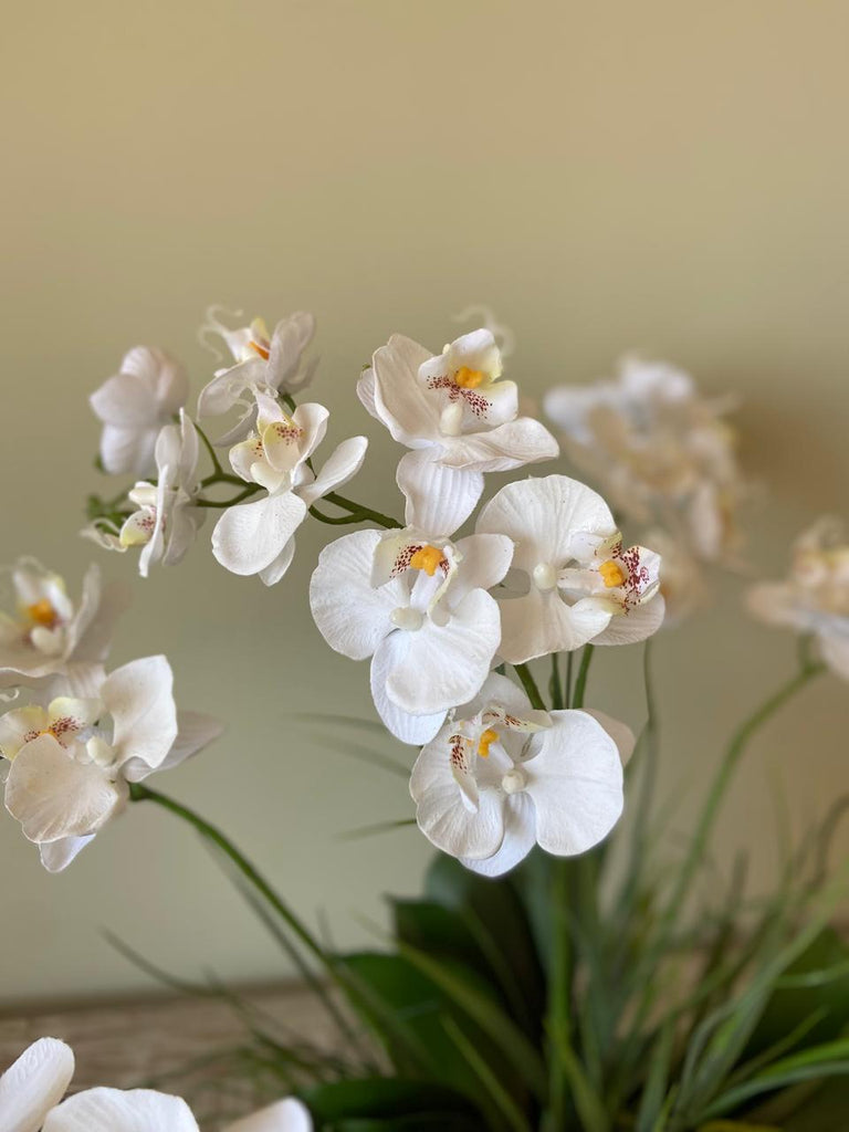 Orquideario con Mini Phalaenopsis Artificial en Base Cantera