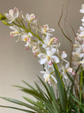 Orquideario con Cymbidium con Follajes Artificiales en Base de Vidrio